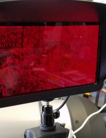 Revolution Imager RED shield for 7 inch monitor 2